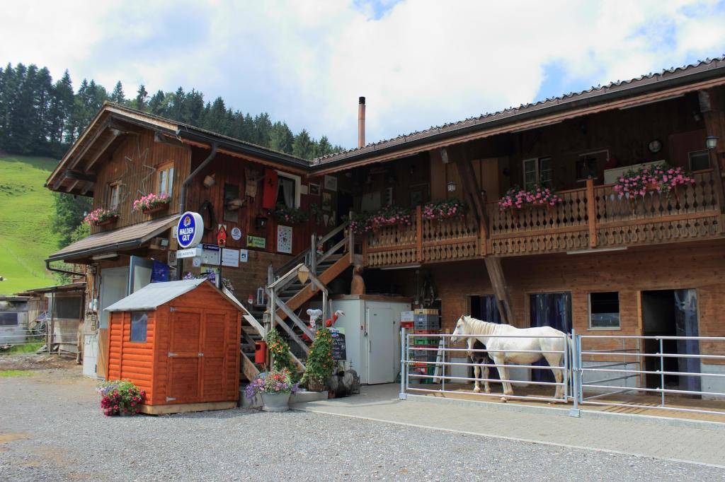 Haflingerhof Fruhboden Villa Egg Exterior photo